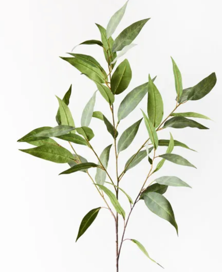 Eucalyptus Spray Grey Green Soul Interiors & co